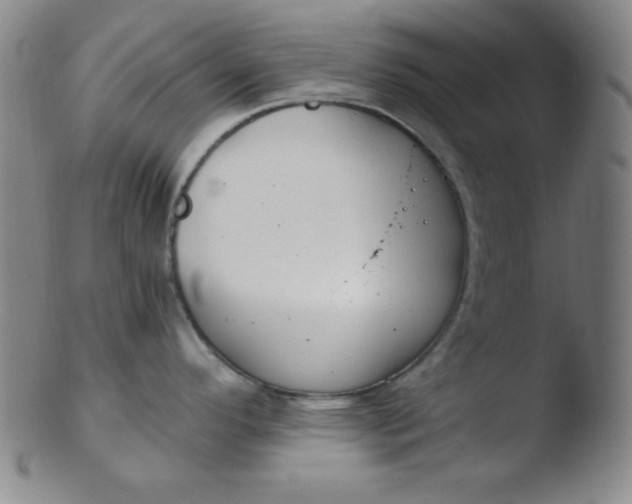 X0000103481296200809261919