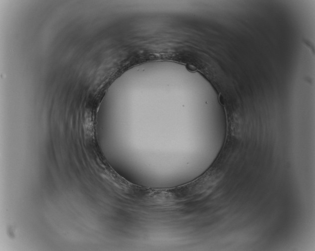X0000103481298200809261918