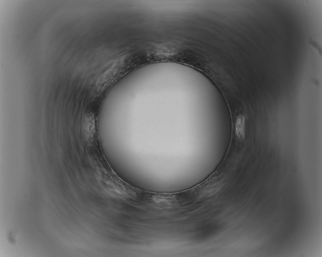 X0000103481299200809261918