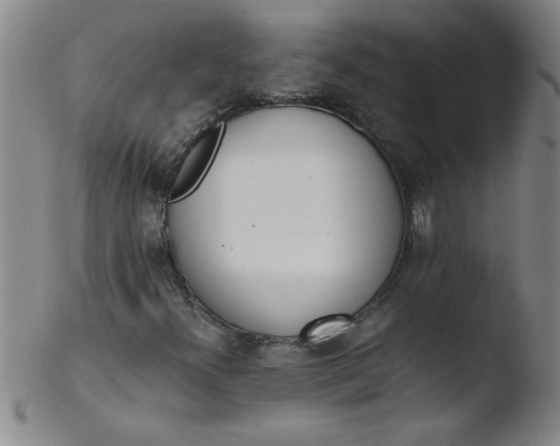 X0000103481300200809261918