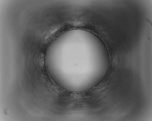 X0000103481301200809261918