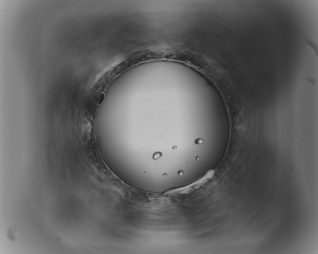 X0000103481302200809261918