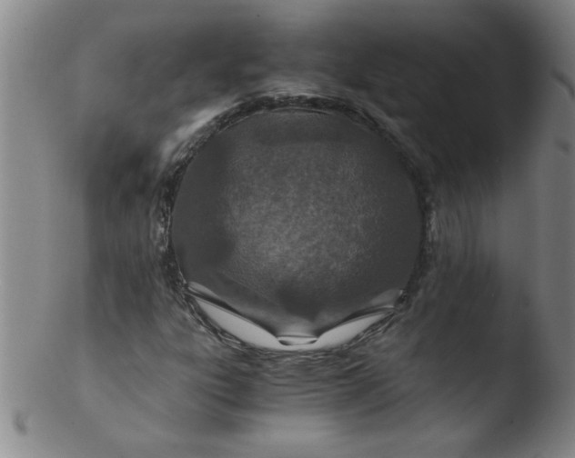 X0000103481303200809261918