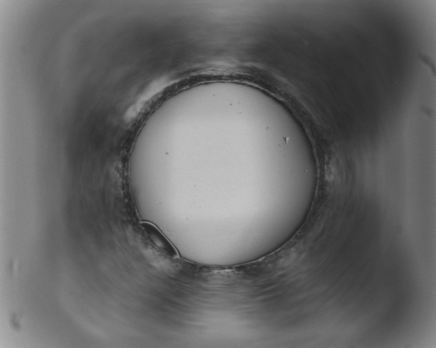 X0000103481304200809261918