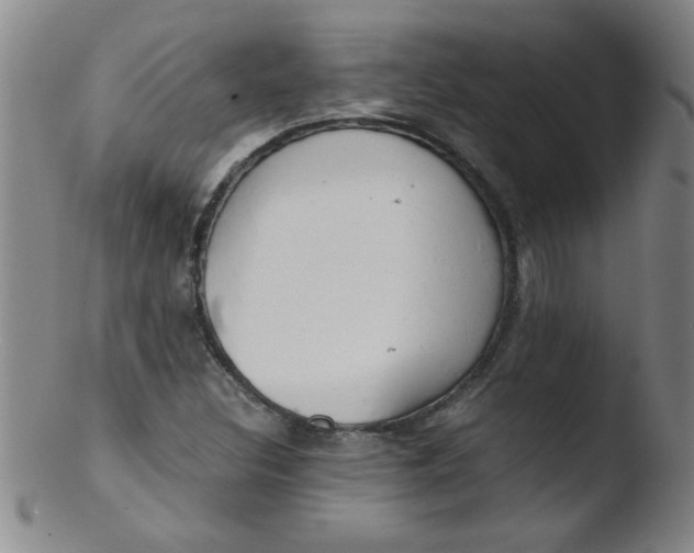 X0000103481308200809261918