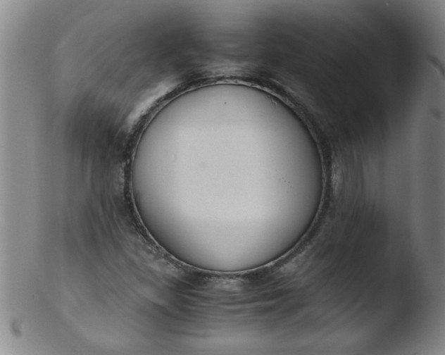X0000103481309200809261918