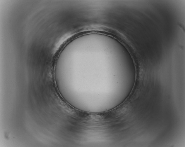 X0000103481312200809261918