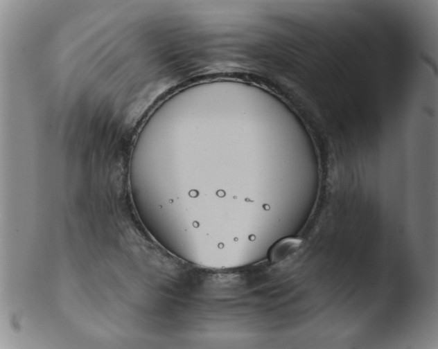 X0000103481313200809261918