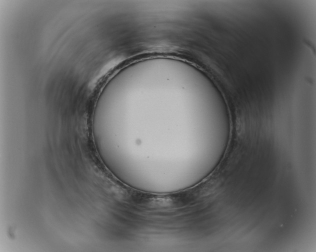 X0000103481315200809261918