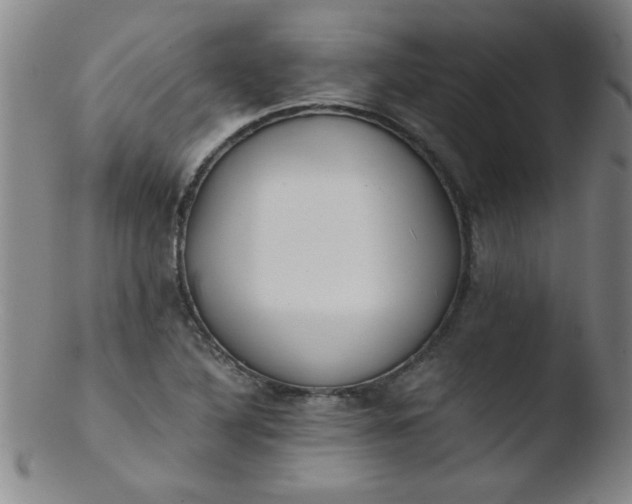 X0000103481316200809261918