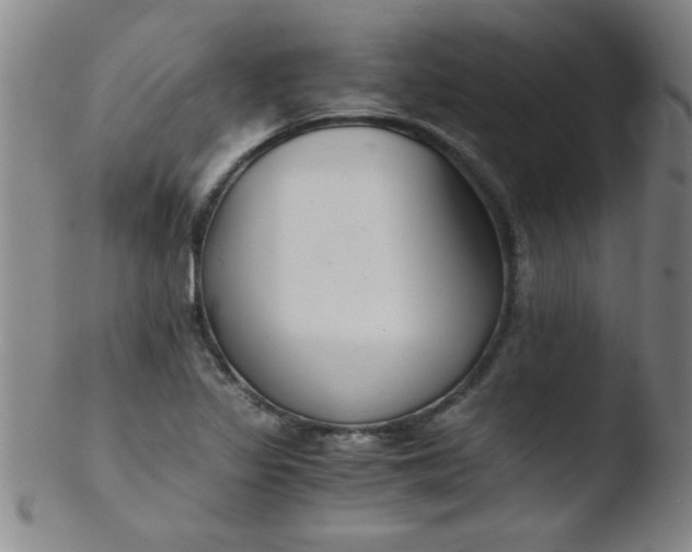 X0000103481317200809261918