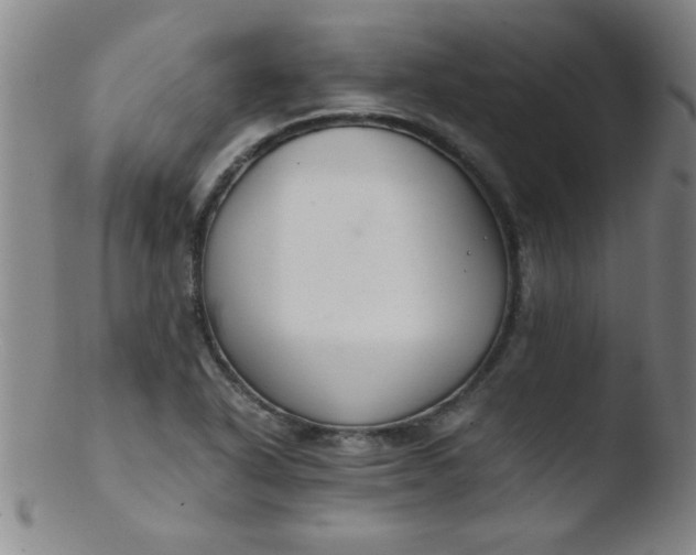 X0000103481318200809261918
