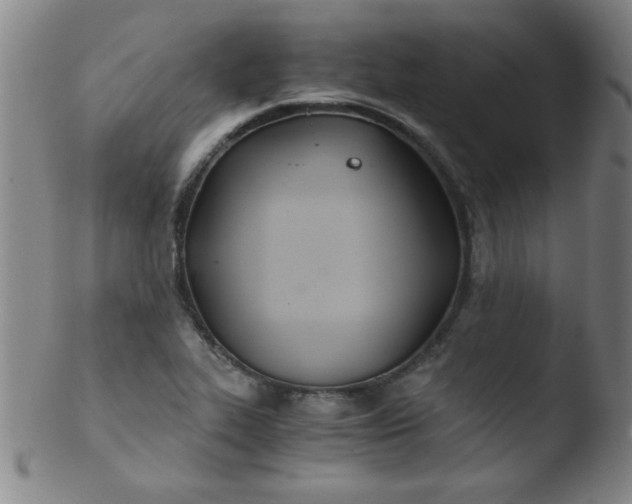 X0000103481319200809261918