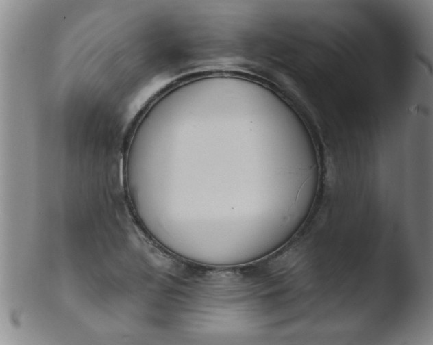 X0000103481320200809261918