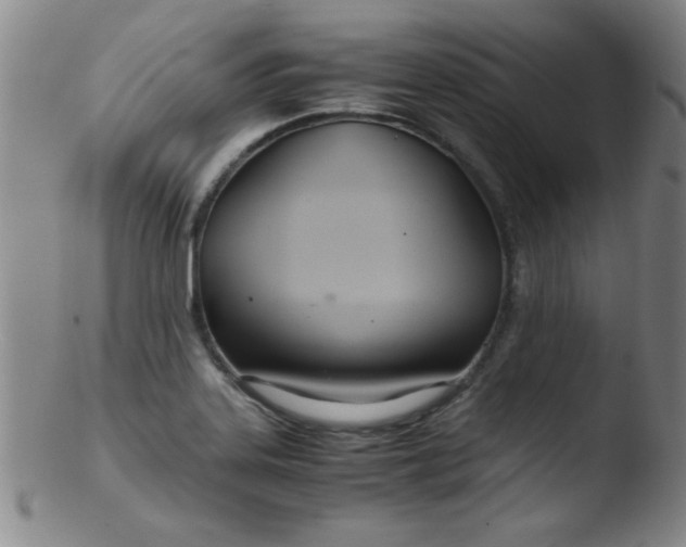 X0000103481323200809261918