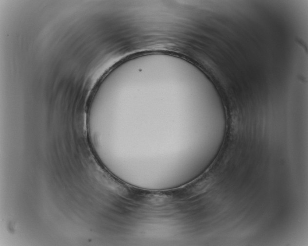 X0000103481324200809261918