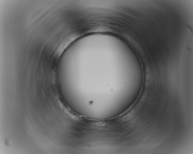 X0000103481329200809261918