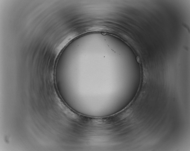 X0000103481330200809261918