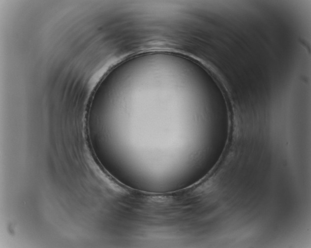 X0000103481333200809261918