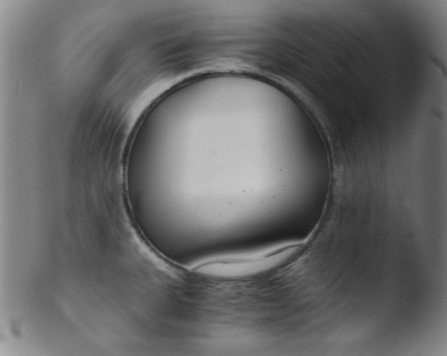 X0000103481335200809261918