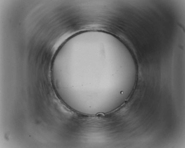 X0000103481336200809261918
