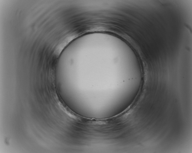 X0000103481337200809261918