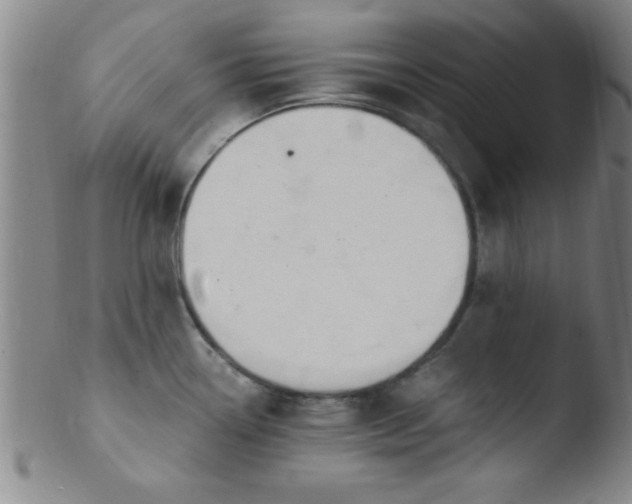 X0000103481338200809261918