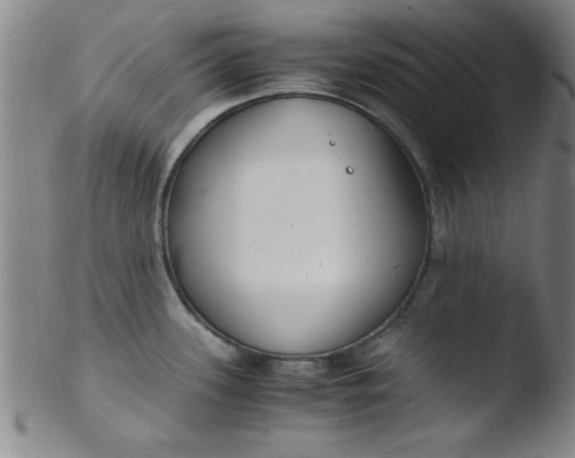 X0000103481339200809261918