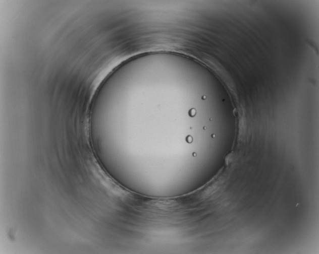 X0000103481340200809261919