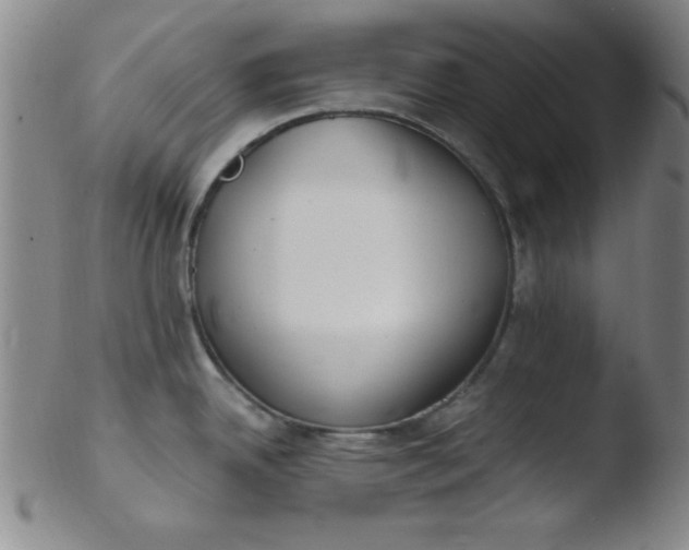 X0000103481342200809261919