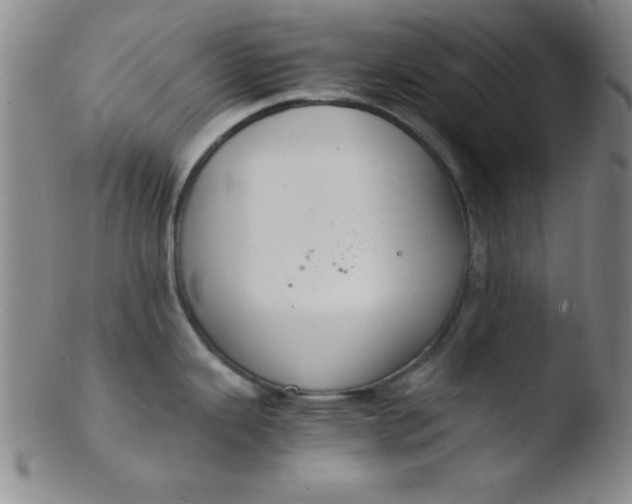 X0000103481343200809261919