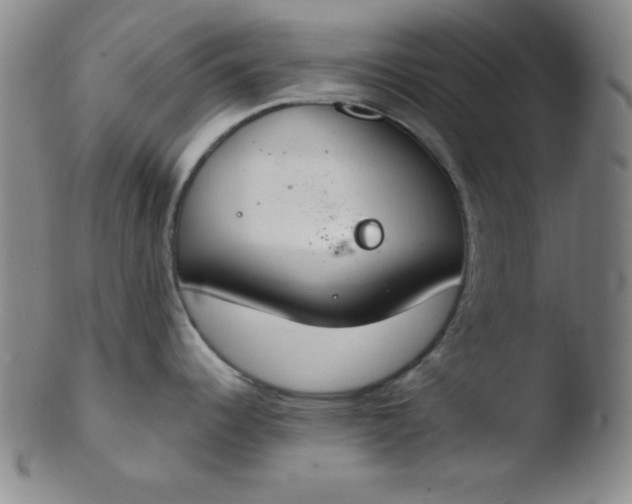 X0000103481344200809261919