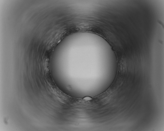 X0000103481346200809261918