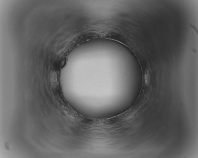 X0000103481347200809261918