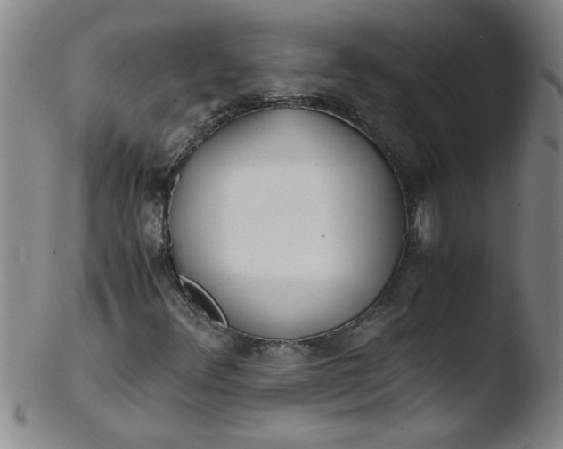 X0000103481348200809261918