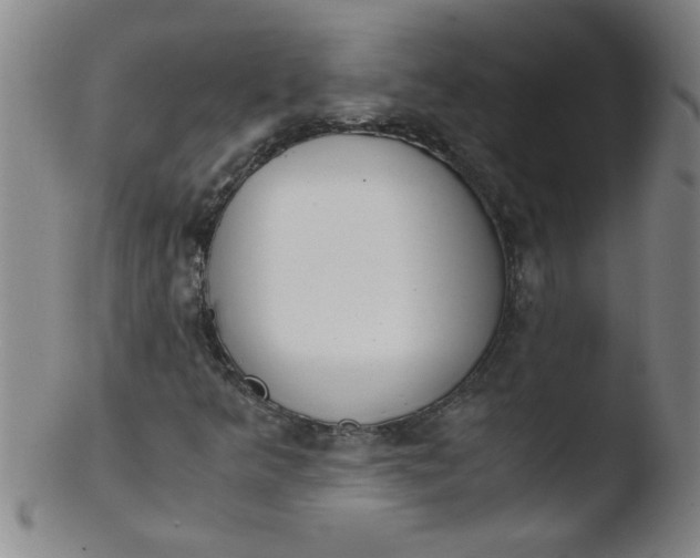 X0000103481349200809261918
