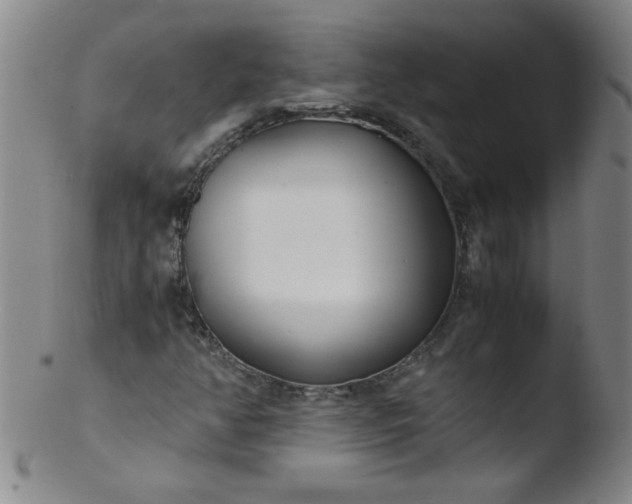X0000103481350200809261918