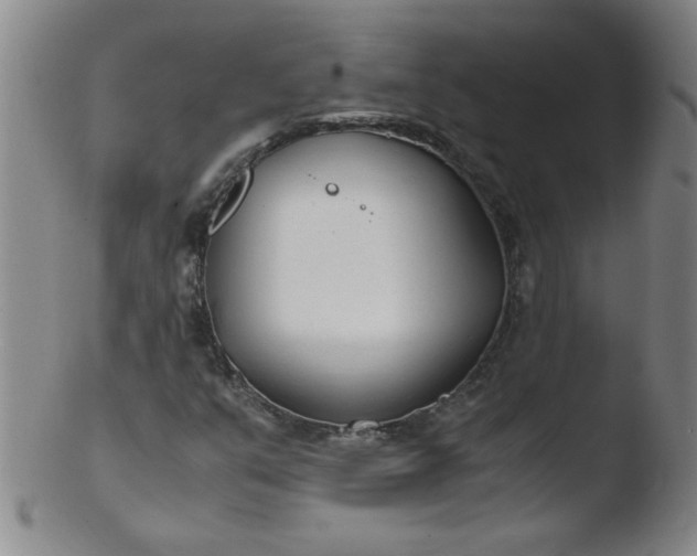 X0000103481351200809261918