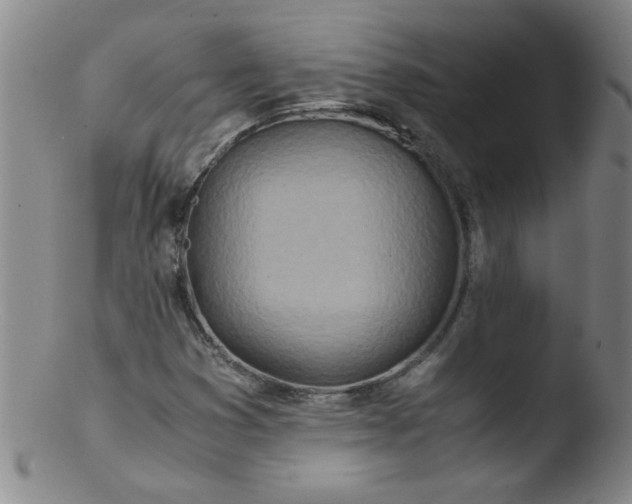 X0000103481353200809261918