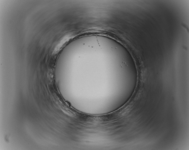 X0000103481355200809261918