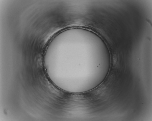 X0000103481356200809261918