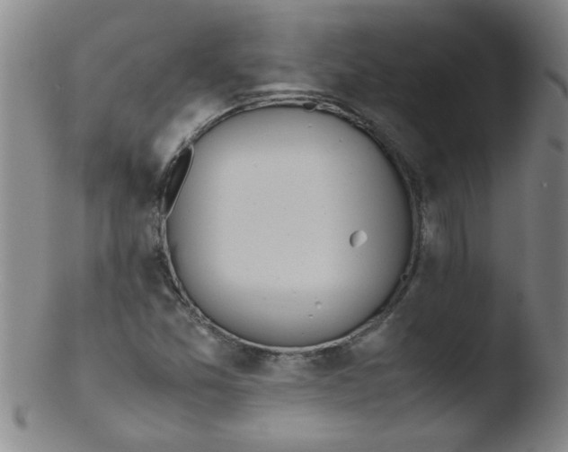 X0000103481357200809261918