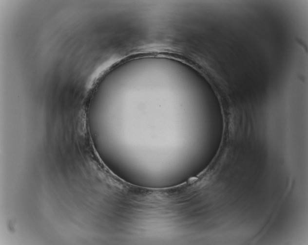 X0000103481358200809261918
