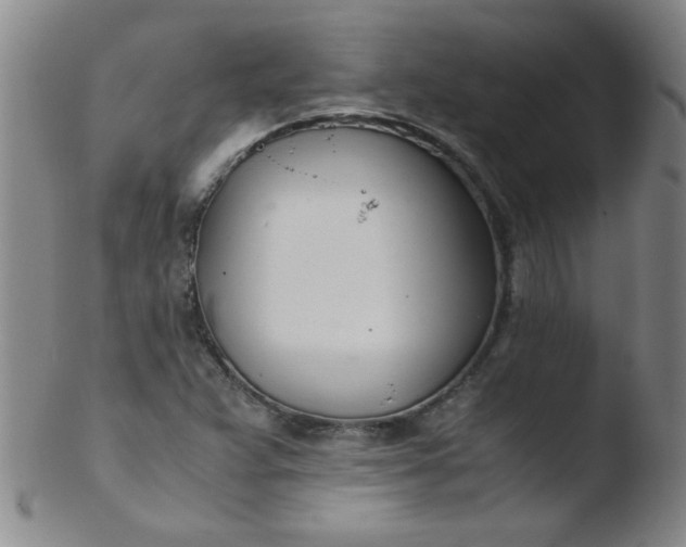 X0000103481359200809261918