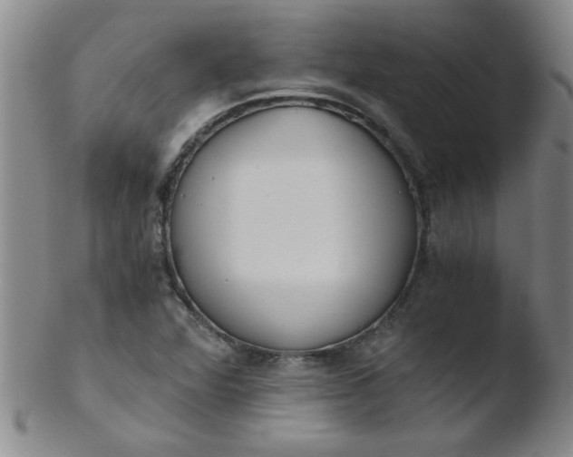 X0000103481360200809261918