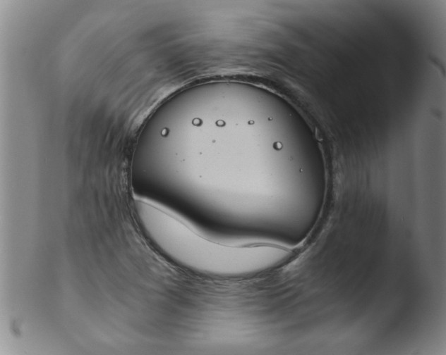 X0000103481361200809261918