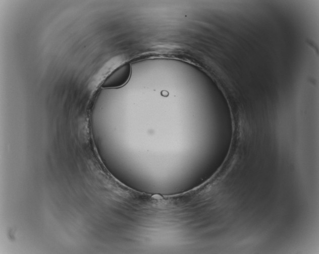 X0000103481362200809261918