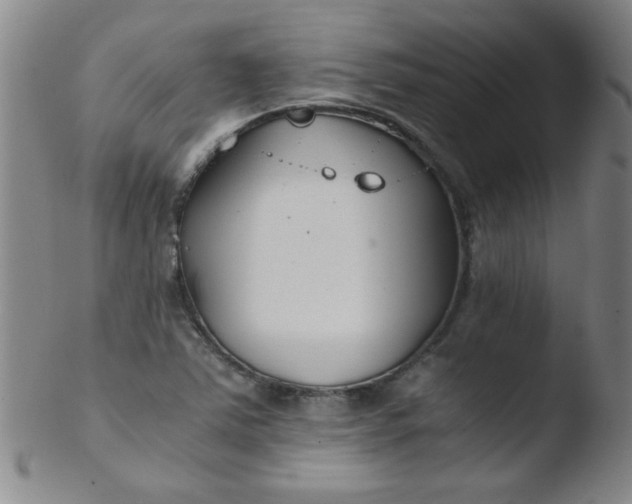 X0000103481363200809261918