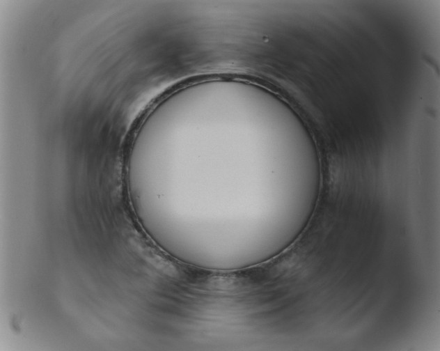 X0000103481364200809261918