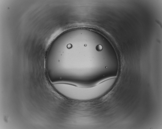 X0000103481365200809261918